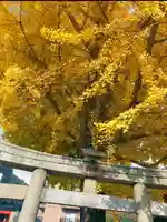 瀧宮神社(広島県)