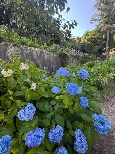 月照寺(島根県)