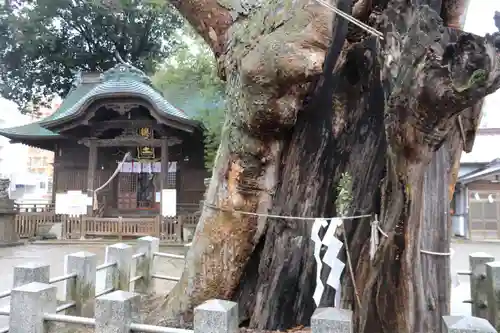阿邪訶根神社のその他建物