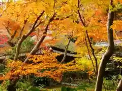 祇王寺(京都府)