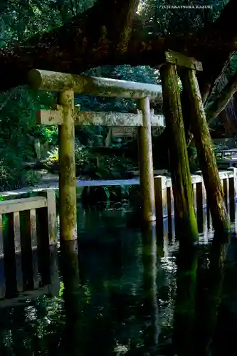 奥宮(鹿島神宮摂社)(茨城県)