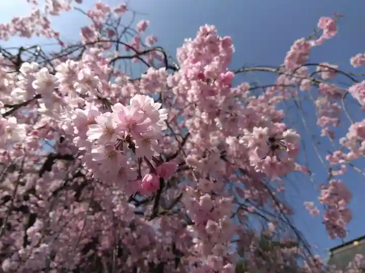 浄得寺(福井県)