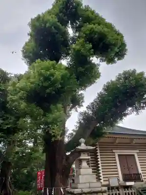 諏訪神社(東京都)