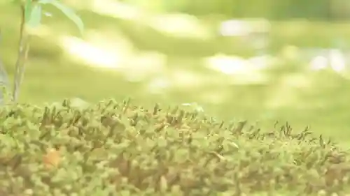 詩仙堂（丈山寺）(京都府)