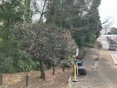 南養寺の{uncategorized: "未分類", other: "その他", undefined: "問題あり", building: "その他建物", grave: "お墓", sacred_gate: "鳥居", guardian: "狛犬", statue: "像", buddha: "仏像", history: "歴史", nature: "自然", garden: "庭園", animal: "動物", pagoda: "塔", temizu: "手水舎", mountain_gate: "山門・神門", sanctuary: "本殿・本堂", subordinate: "末社・摂社", art: "芸術", scenery: "景色", jizo: "地蔵", ema: "絵馬", goshuin: "御朱印", omikuji: "おみくじ", items: "授与品その他", amulet: "お守り", goshuincho: "御朱印帳", eats: "食事", festival: "お祭り", votive_dance: "神楽", shichigosan: "七五三参", wedding: "結婚式", experience: "体験その他", initially: "初詣", around: "周辺", anti_infection: "感染症対策"}