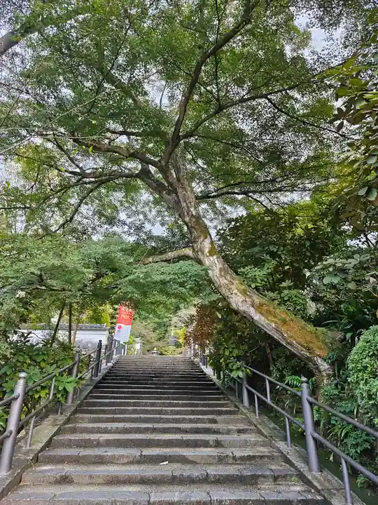 岡寺(龍蓋寺)(奈良県)