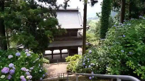 妙法寺の山門