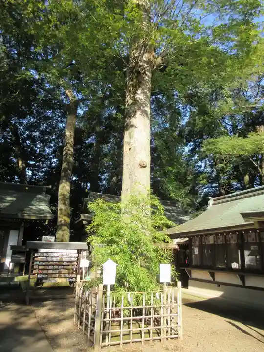 一言主神社のその他建物