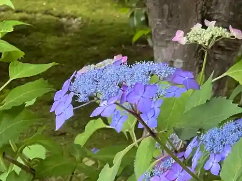 興臨院(京都府)