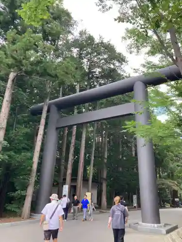 北海道神宮の{uncategorized: "未分類", other: "その他", undefined: "問題あり", building: "その他建物", grave: "お墓", sacred_gate: "鳥居", guardian: "狛犬", statue: "像", buddha: "仏像", history: "歴史", nature: "自然", garden: "庭園", animal: "動物", pagoda: "塔", temizu: "手水舎", mountain_gate: "山門・神門", sanctuary: "本殿・本堂", subordinate: "末社・摂社", art: "芸術", scenery: "景色", jizo: "地蔵", ema: "絵馬", goshuin: "御朱印", omikuji: "おみくじ", items: "授与品その他", amulet: "お守り", goshuincho: "御朱印帳", eats: "食事", festival: "お祭り", votive_dance: "神楽", shichigosan: "七五三参", wedding: "結婚式", experience: "体験その他", initially: "初詣", around: "周辺", anti_infection: "感染症対策"}