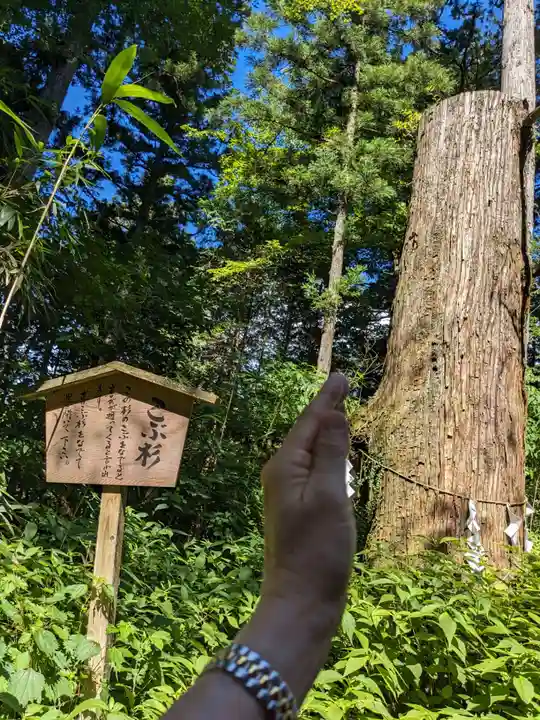 本宮神社(日光二荒山神社別宮)(栃木県)