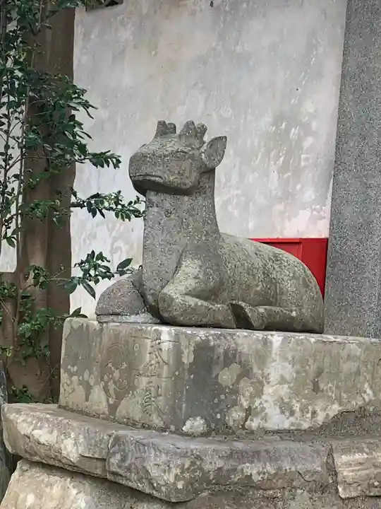 鹿嶋神社の狛犬