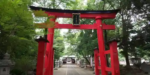 峯ヶ岡八幡神社の鳥居