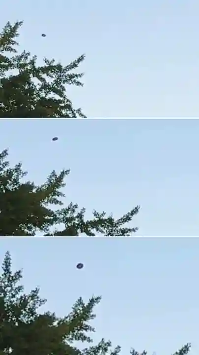 函館八幡宮(北海道)