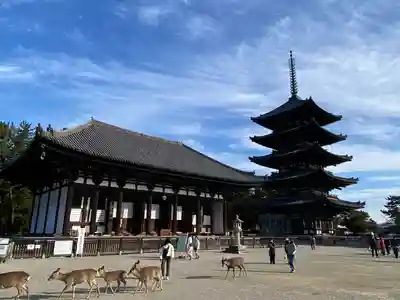 興福寺のその他建物