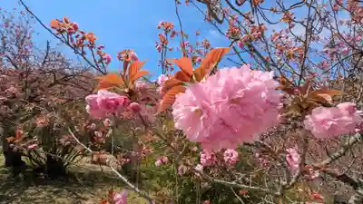 金蛇水神社(宮城県)