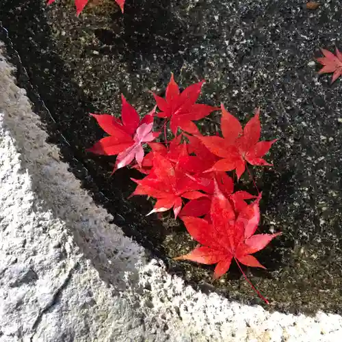 鹿島大神宮の手水