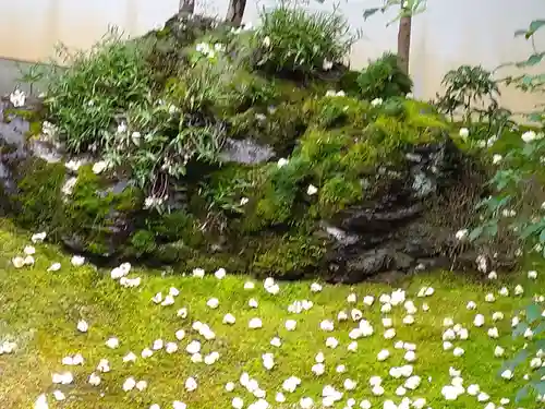 東林院(京都府)