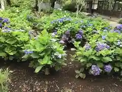 茨城縣護國神社の庭園