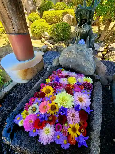 大鏑神社の手水