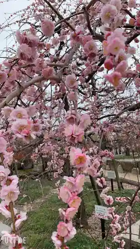 防府天満宮の自然
