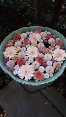 行田八幡神社の手水舎