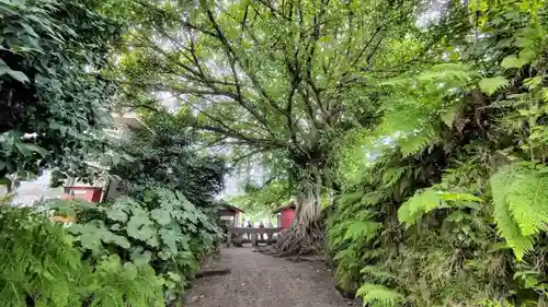 腹五社神社(鹿児島県)
