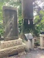 高尾山薬王院(東京都)