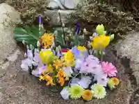 高龍寺の手水舎