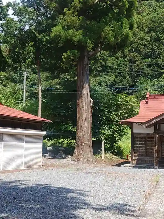 古鷹神社(埼玉県)