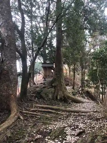 天河大辨財天社の自然