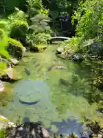 十念寺(兵庫県)