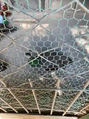 岩槻久伊豆神社(埼玉県)