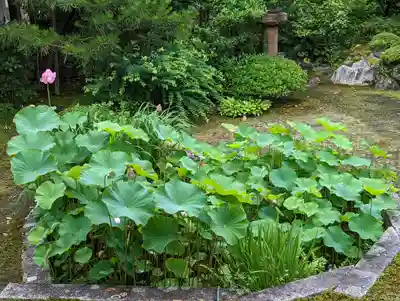 本法寺(京都府)