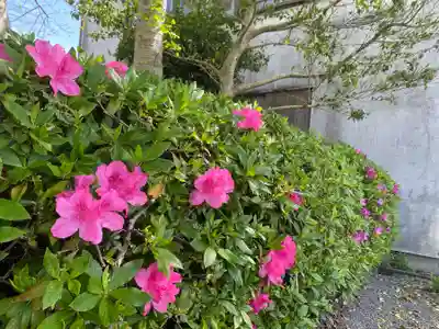 美奈宜神社(福岡県)