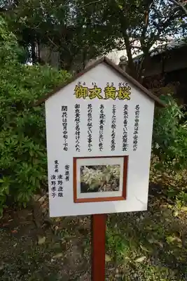 大報恩寺（千本釈迦堂）のその他建物