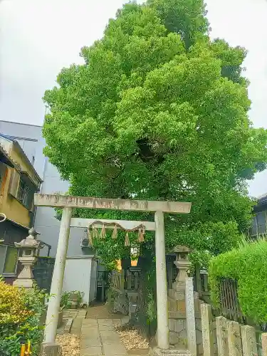 横田神社の鳥居