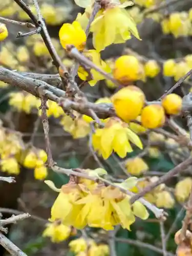 大蓮寺(京都府)