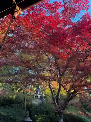 榮攝院（栄摂院）(京都府)