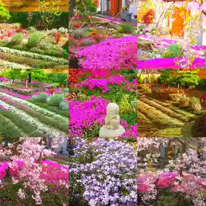 寿量山 速成寺(奈良県)(2021年05月31日(月) 09時15分40秒投稿)