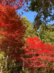 花園神社の自然