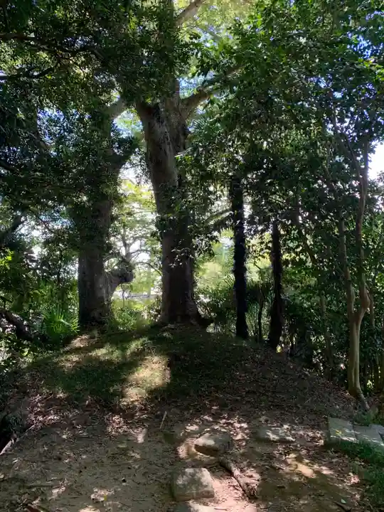 八幡神社(千葉県)
