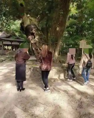 賀茂御祖神社（下鴨神社）(京都府)