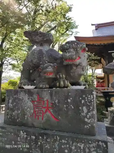 清瀧神社の狛犬
