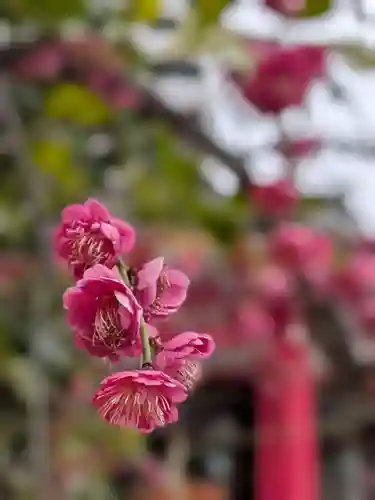 成子天神社(東京都)