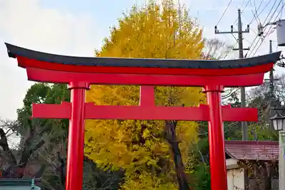 鷲宮神社(埼玉県)