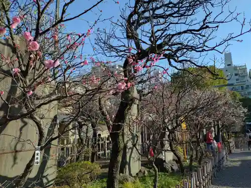 亀戸天神社(東京都)