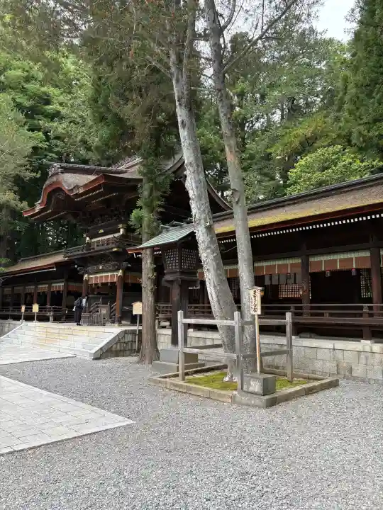 諏訪大社下社秋宮(長野県)