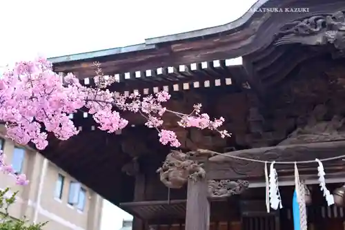 桜神宮(東京都)