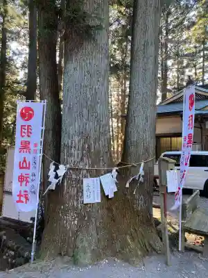 羽黒山神社(栃木県)
